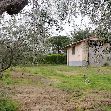 Villetta Sotto Castagno Castiglione della Pescaia Eksteriør bilde